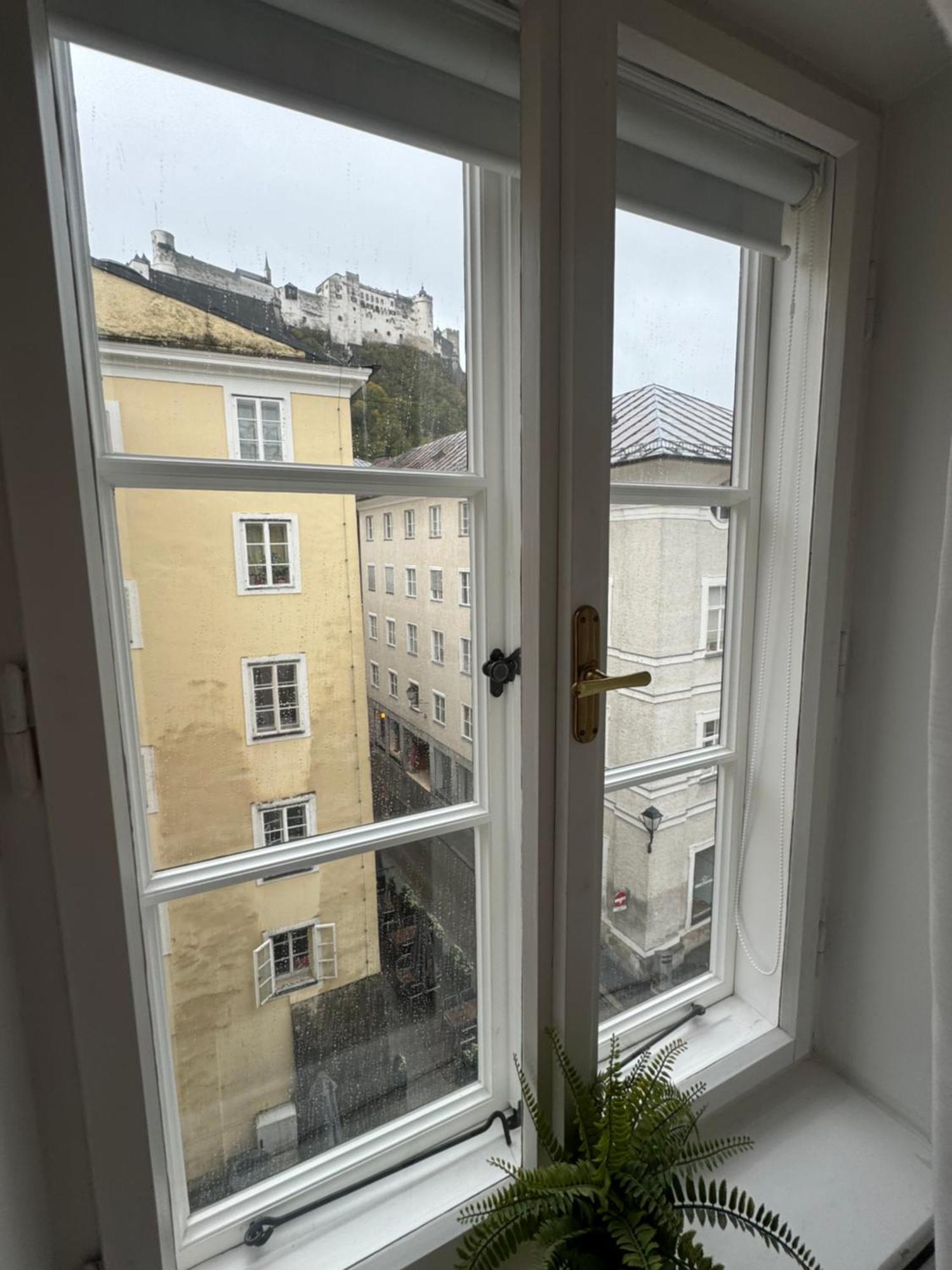 Mozart - House Salisburgo