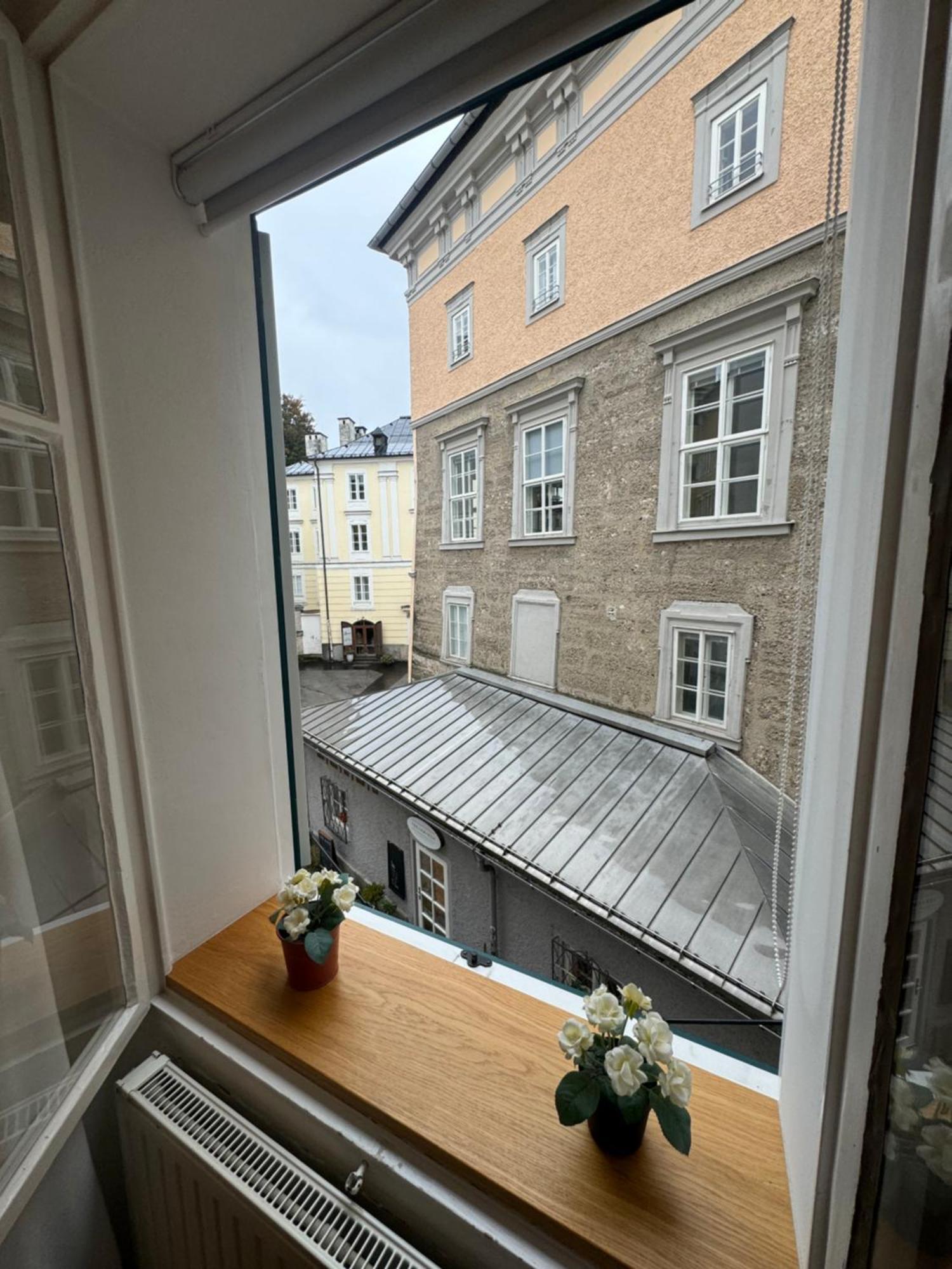 Mozart - House Salisburgo